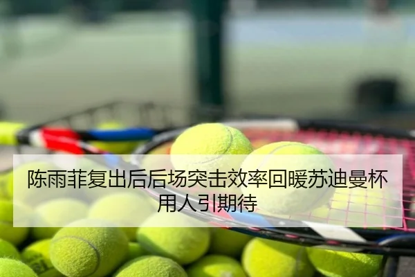 陈雨菲复出后后场突击效率回暖苏迪曼杯用人引期待
