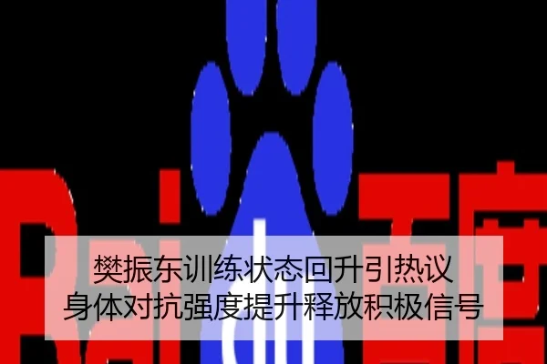 樊振东训练状态回升引热议 身体对抗强度提升释放积极信号
