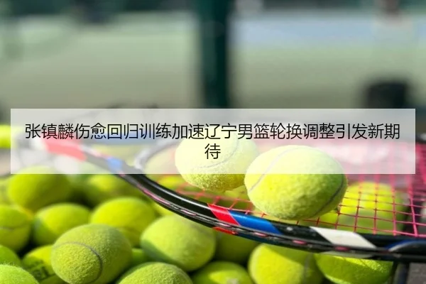 张镇麟伤愈回归训练加速辽宁男篮轮换调整引发新期待